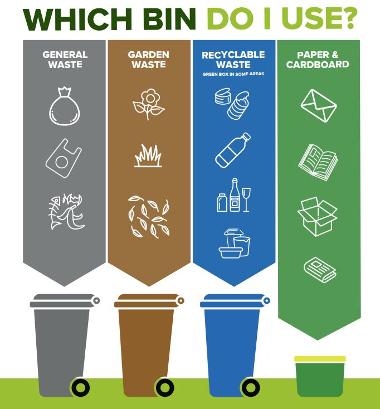 What goes in each bin?